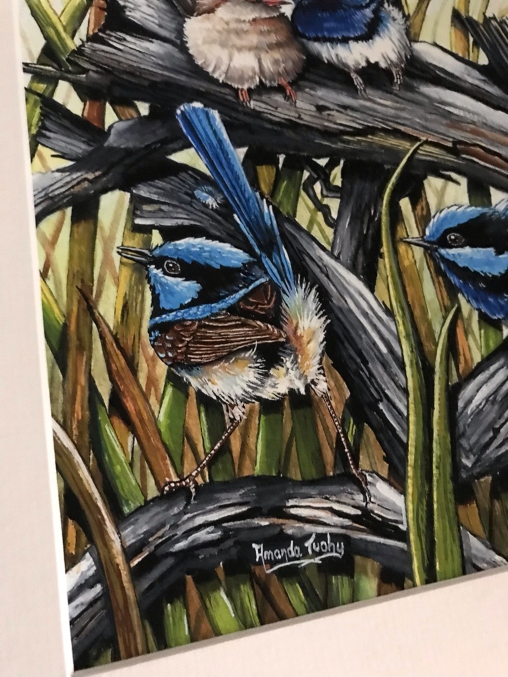 Beautiful Amanda Tuchy ‘Four Wrens’ Blue Birds Print - Picture 2 of 6